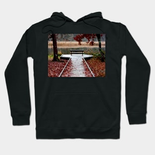 A Place to reflect Hoodie